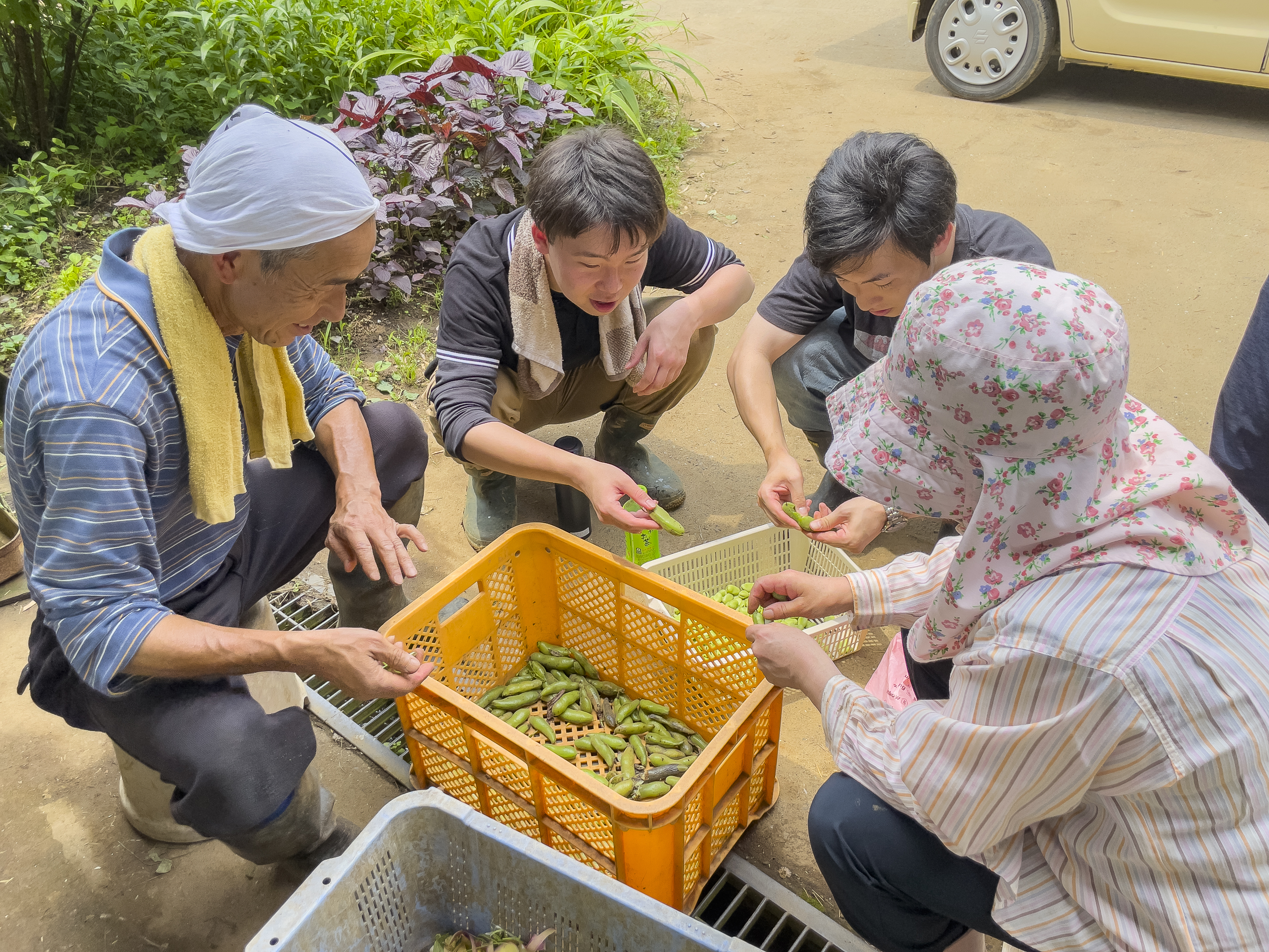 自家採種の意義