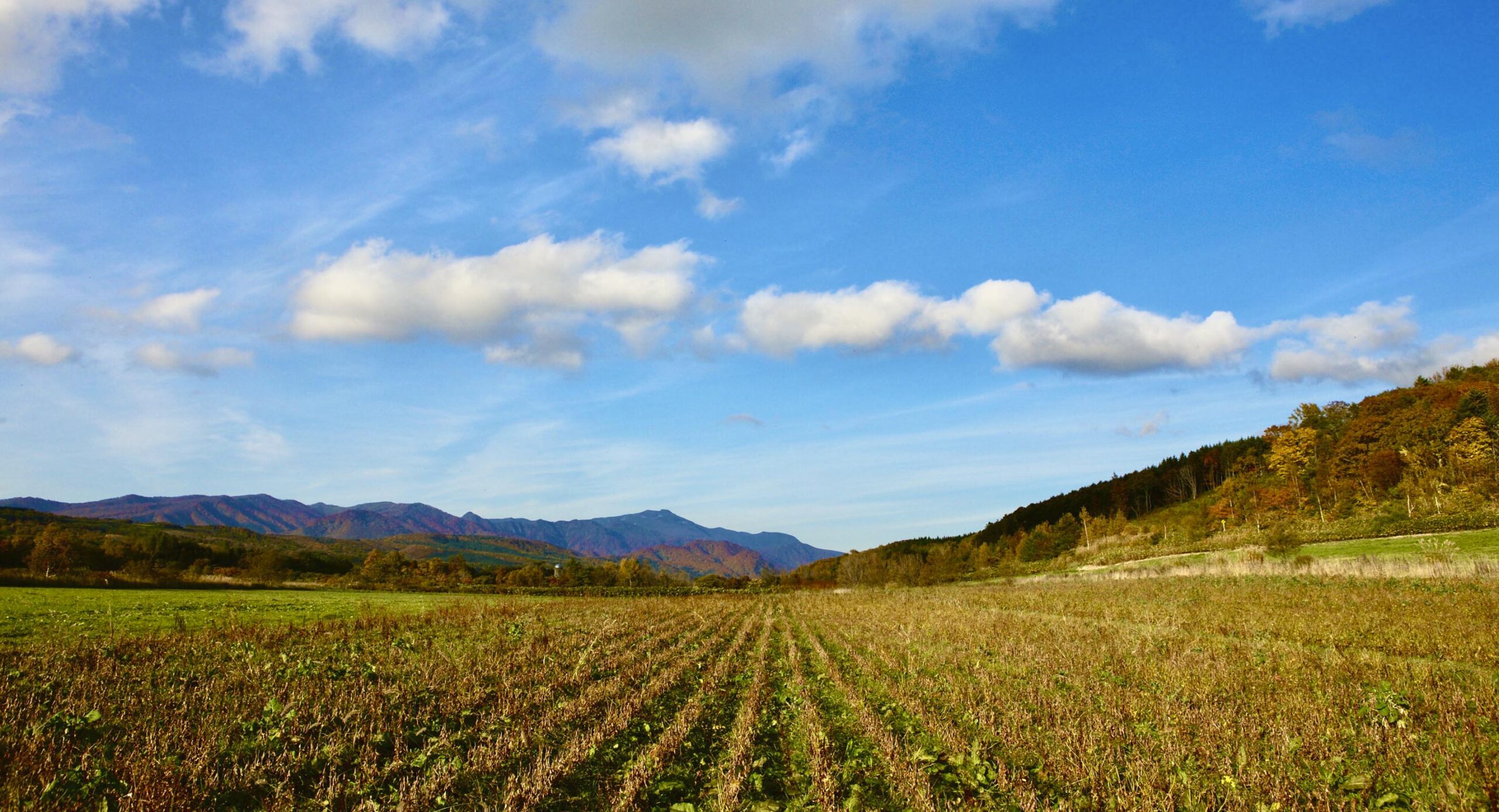 秀明ナチュラルファーム北海道